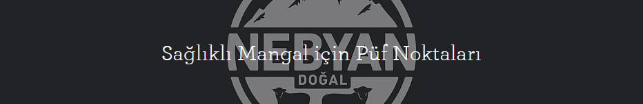 Sağlıklı Mangal için Püf Noktaları